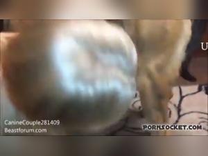 Tabous Brisés : Bestiality Intense avec Casting Mature Woman 3