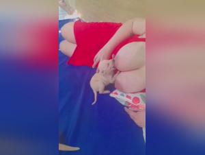 Grosseur et tétines : une chienne nourrit son bébé à la façon humaine
