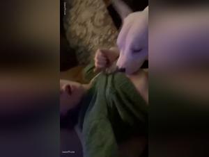 Sneaky Dog Fuck: La Hotte Se Déroute