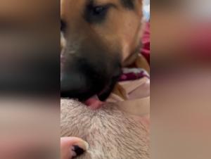 Zoophilie Brutal: Chien Dévore la Femme