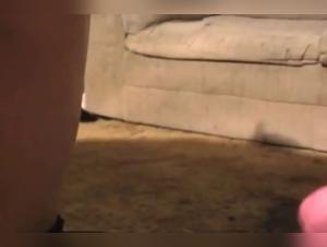 Baiser canin incontrôlable: la Dog Maid se soumet