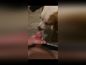 Canine Debauchery: A Woman's Animal Pleasures
