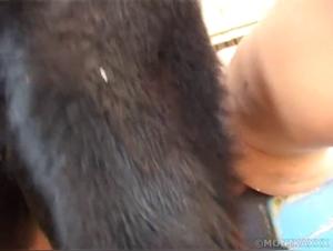 Zoophilie sans limites : Le plaisir animal brute sur film