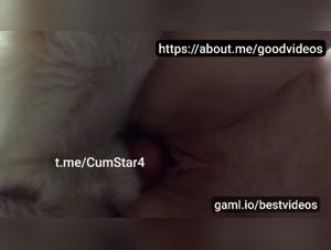 Le Désir Insatiable : Creampies Canines Extrêmes