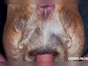L'Obsession de Milly : Baisers Animales Sauvages